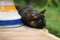 Sevilla-00319-scaled